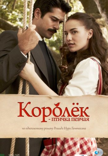 Королек — птичка певчая постер Королек — птичка певчая турецкий сериал смотреть онлайн бесплатно в хорошем качестве